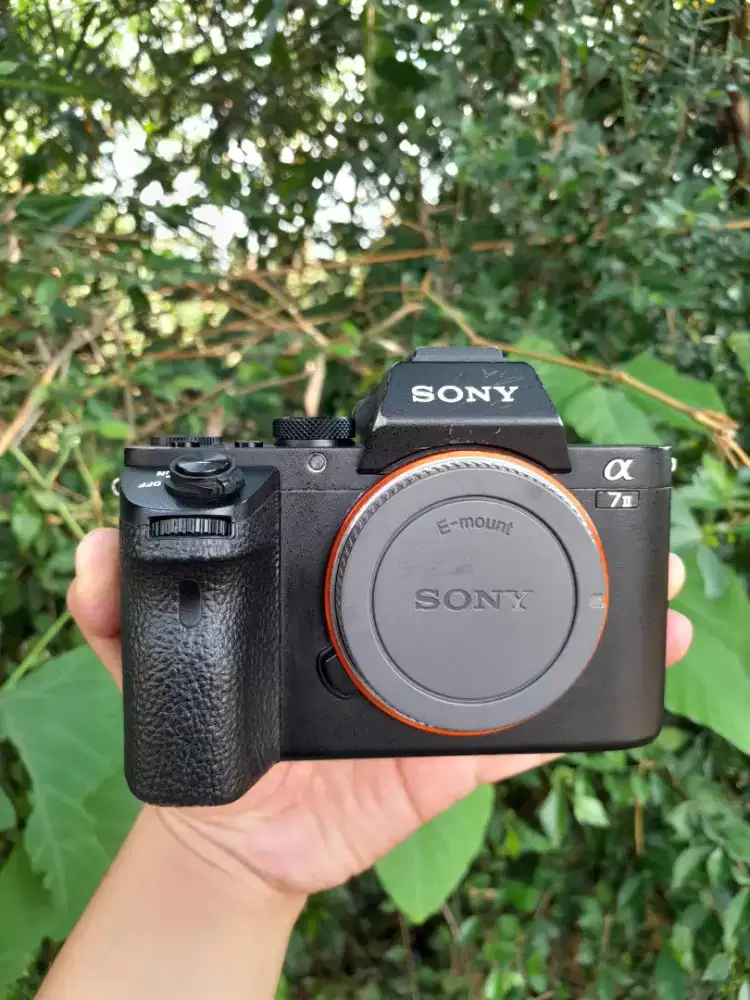 Bo sony a7 mark ii