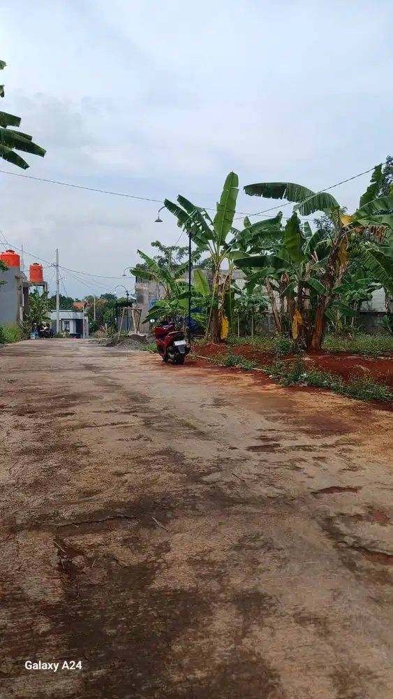 Tanah datar luas di kalisegoro gunung pati