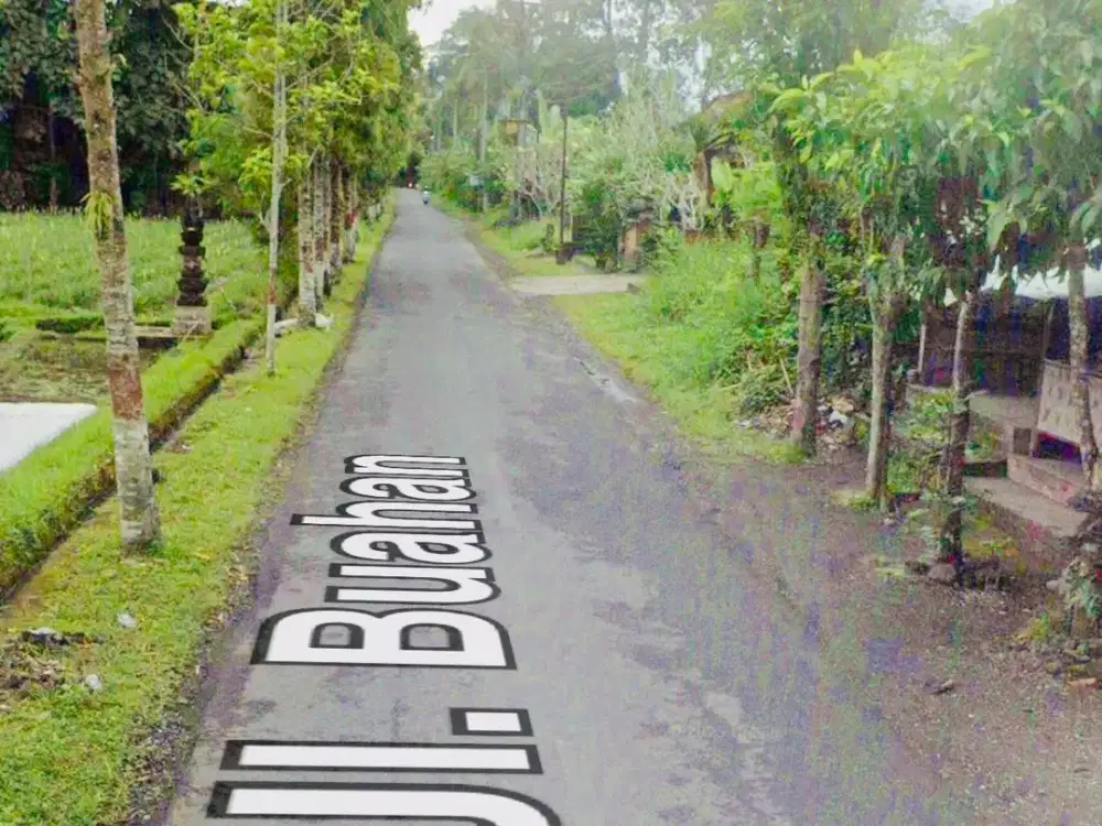 Tanah View Sawah Buahan Tabanan Bali