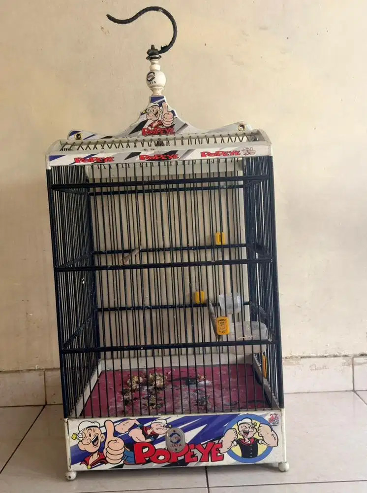 kandang sangkar burung kotak no 2 like new ori ebod