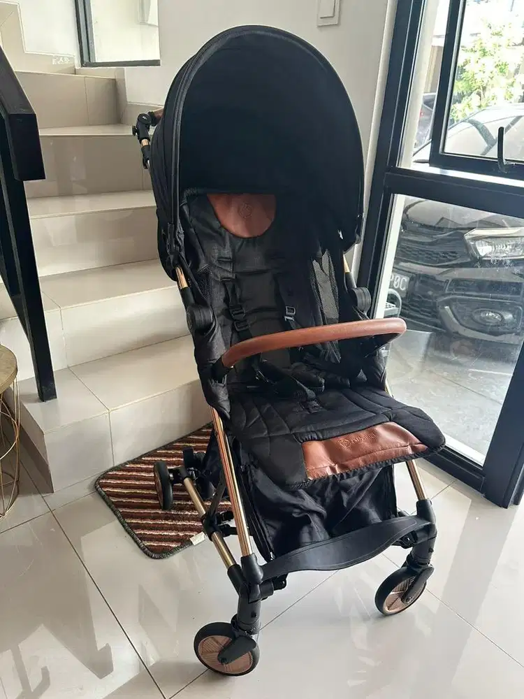 Stroller hybrid carry on