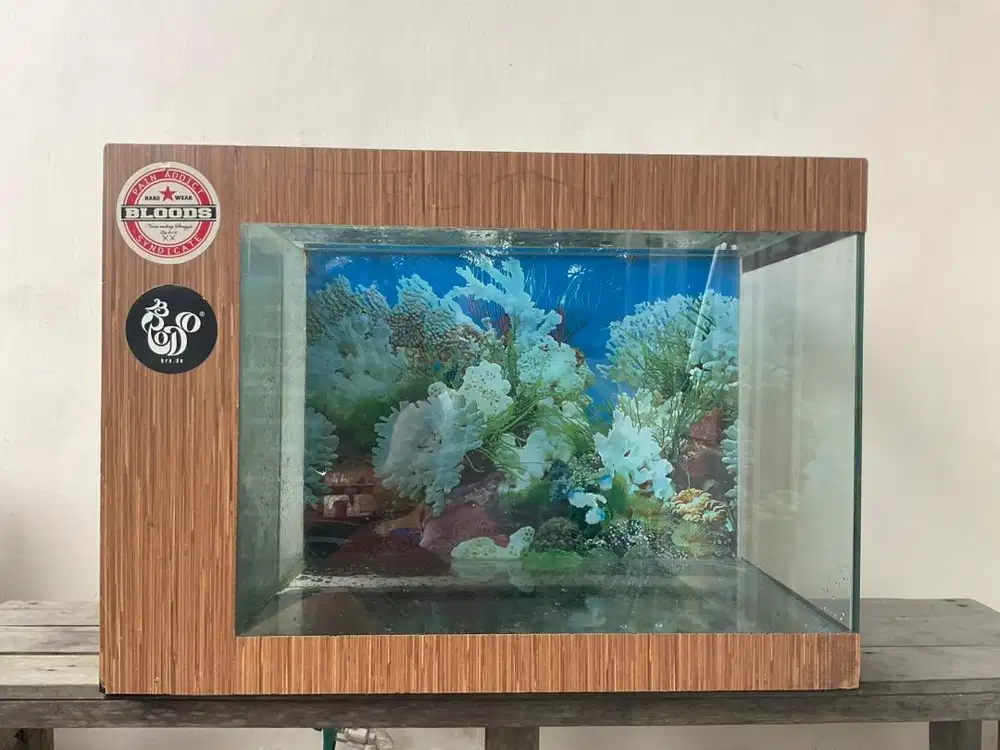 aquarium ukuran 60 x 9 cm