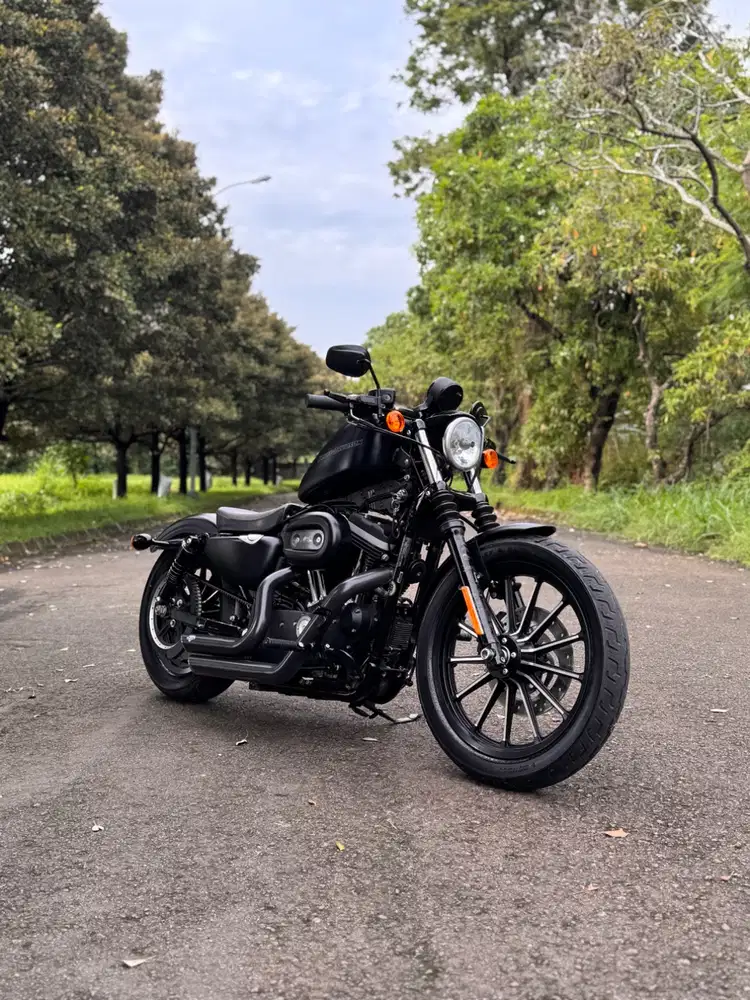 Harley Davidson Sportster Iron 883 Original Paint