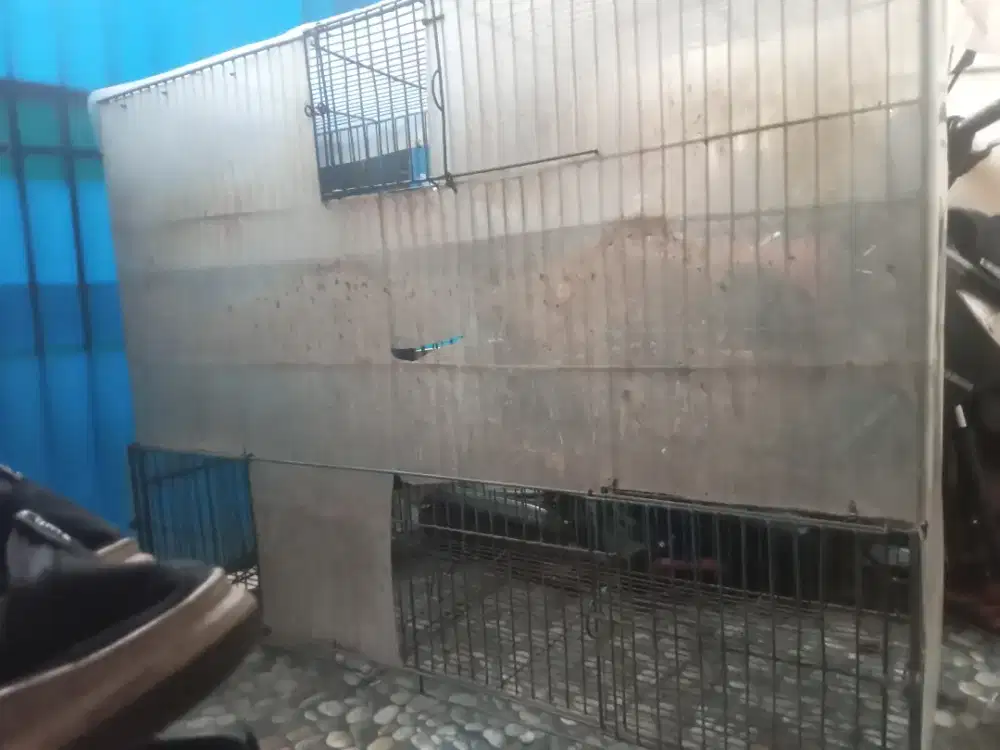 Kandang Kucing Jumbo