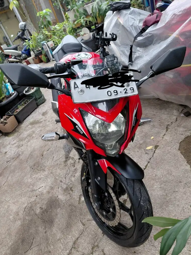 Ninja 250SL / Ninja Mono