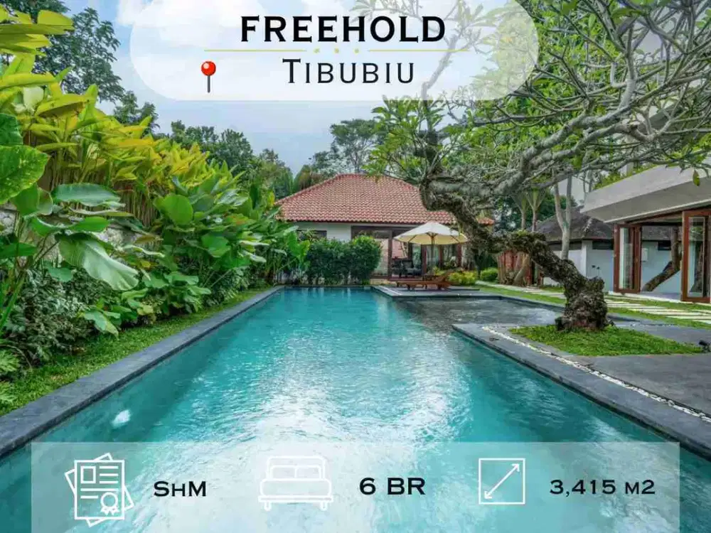 For Sale: Luxury Riverfront Villa Estate