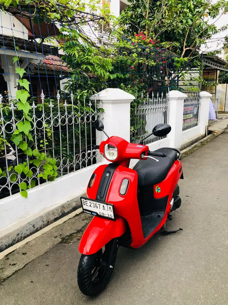 FAZZIO NEW LUXURY TERBAIK 2025 Pajak Hidup