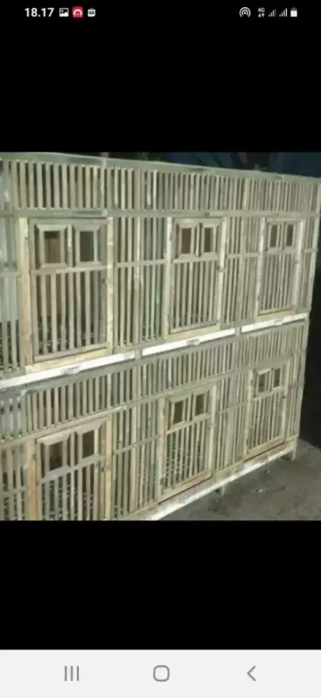 Terima pesanan kandang ayam