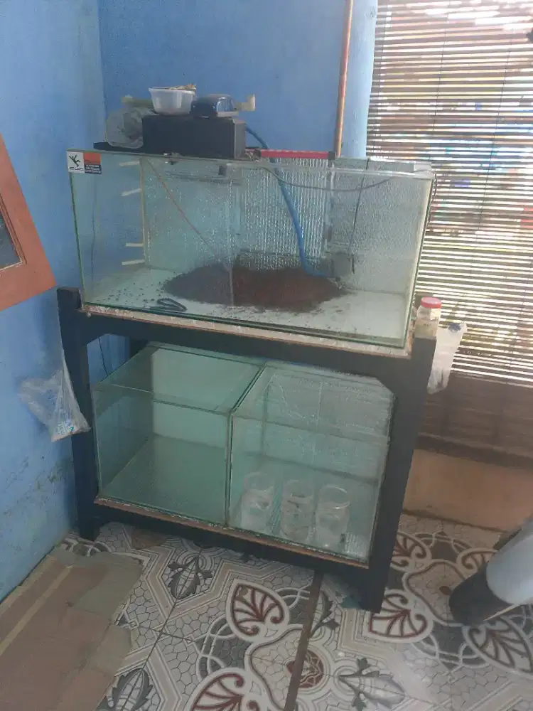 Aquarium/akuarium