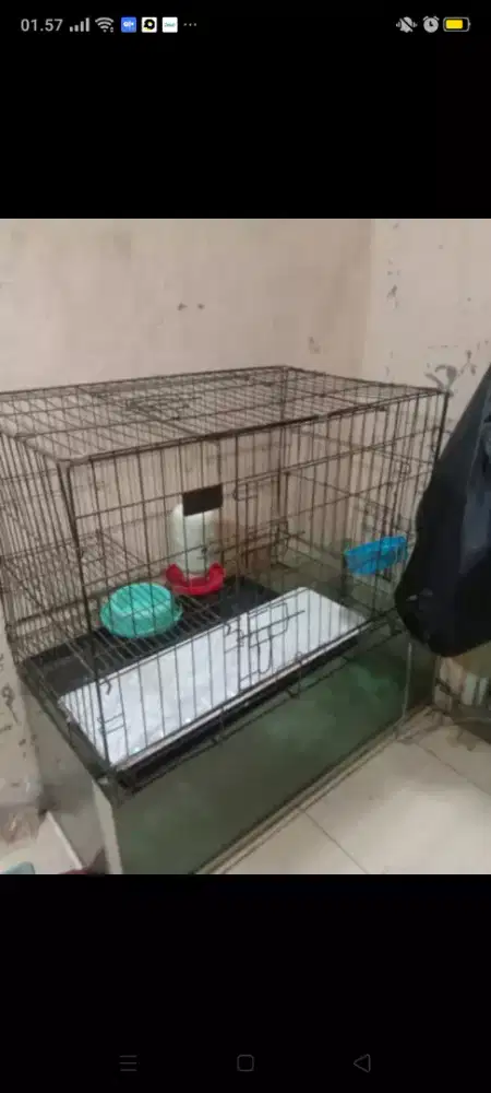 Di jual kandang kucing