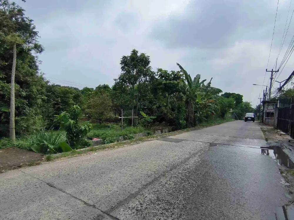 Dijual Tanah produktif,luas cocok untuk perumahan