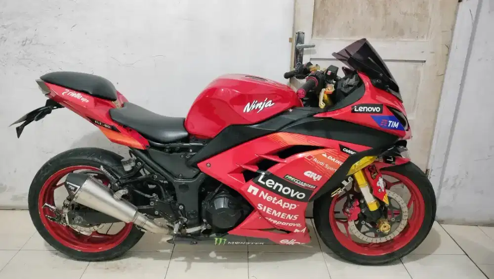 Kawasaki Ninja Warrior 250 FI
