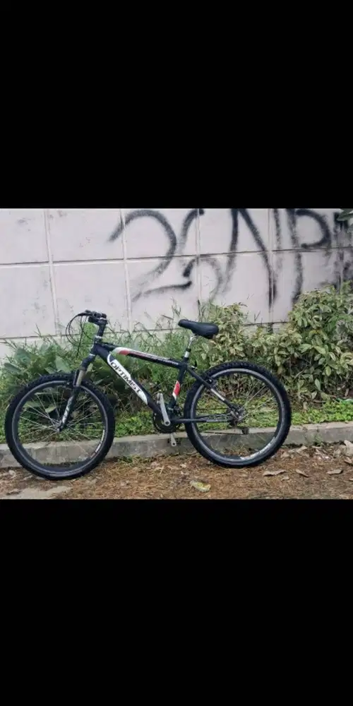 Sepeda Gunung MTB Optimist