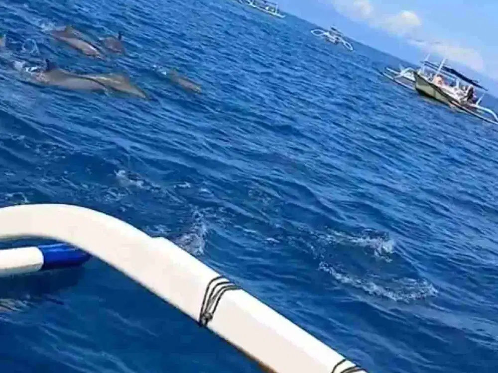 BUC, dijual TANAH 10 ARE cck utk villa dkt LOVINA DOLPIN Buleleng Bali