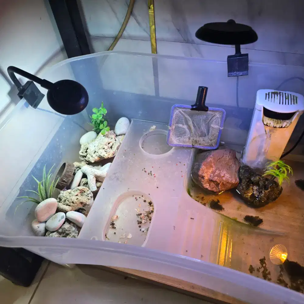 Kandang kura komplit