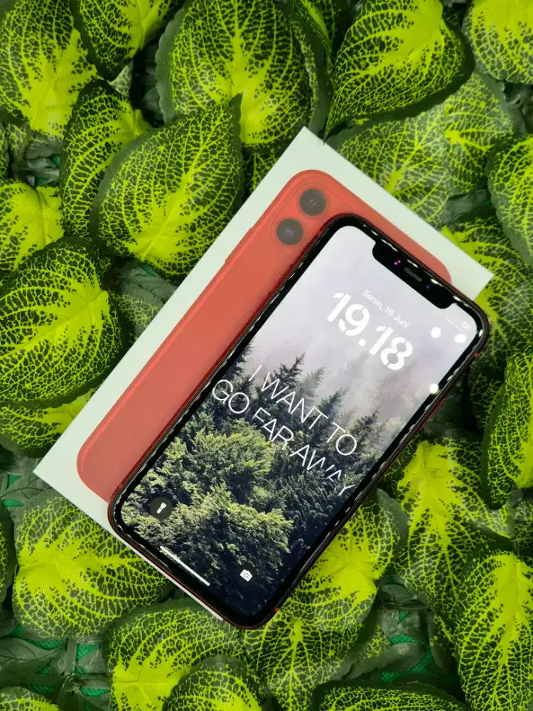 IPhone 11 256Gb Merah Normal Lengkap