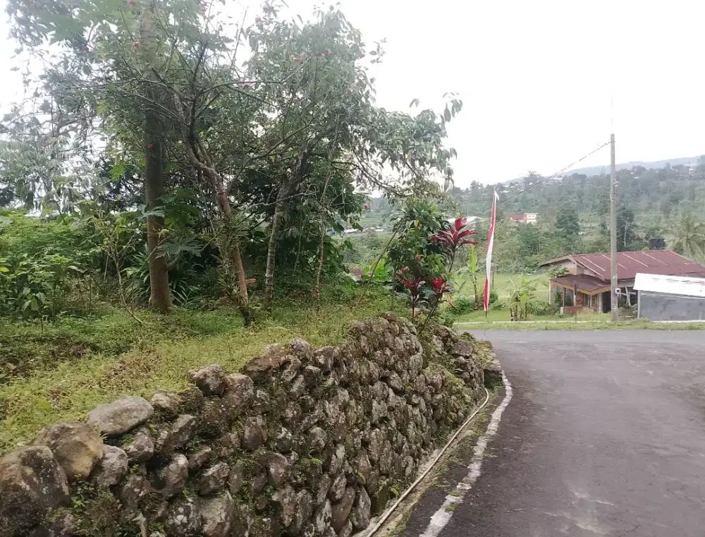 Dijual tanah pekarangan zona wisata