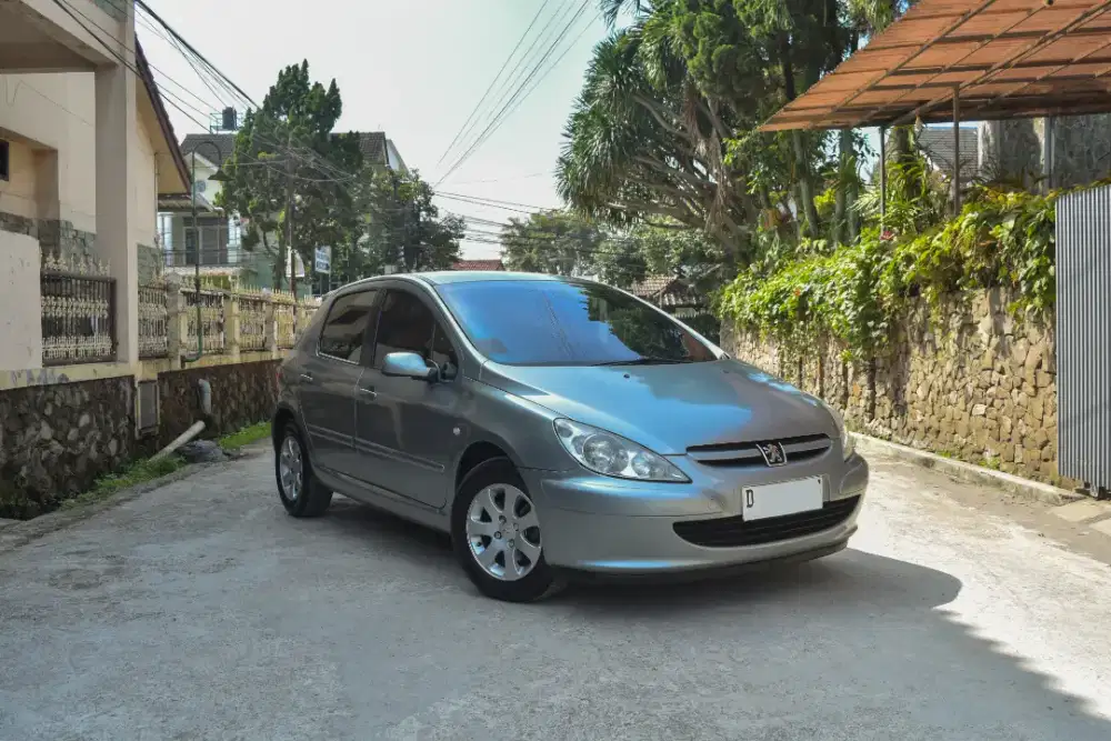 Peugeot 307 AT Sporty