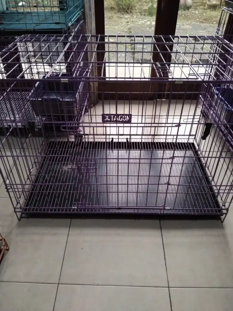 Kandang Kucing Octagon