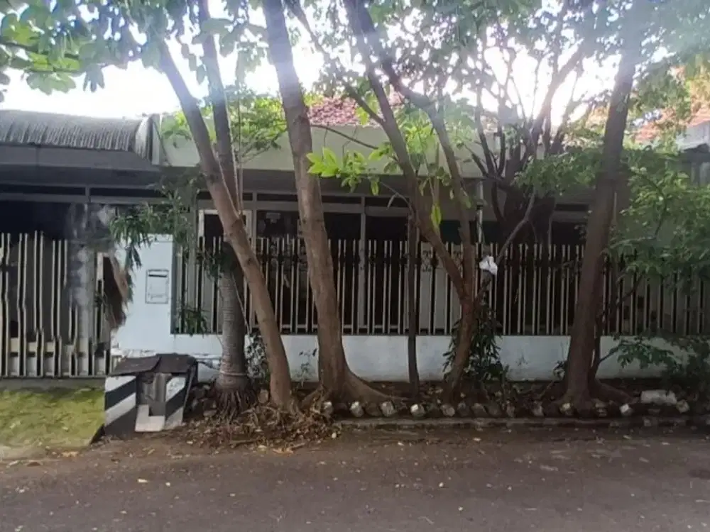 Disewakan Rumah Manyar Tirtomoyo