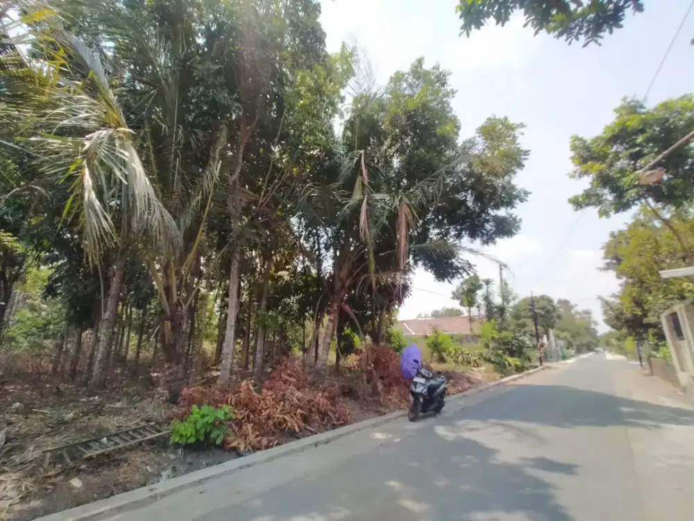 Tepi Jalan Aspal, Tanah Di Dekat Stadion Maguwoharjo di Kalasan