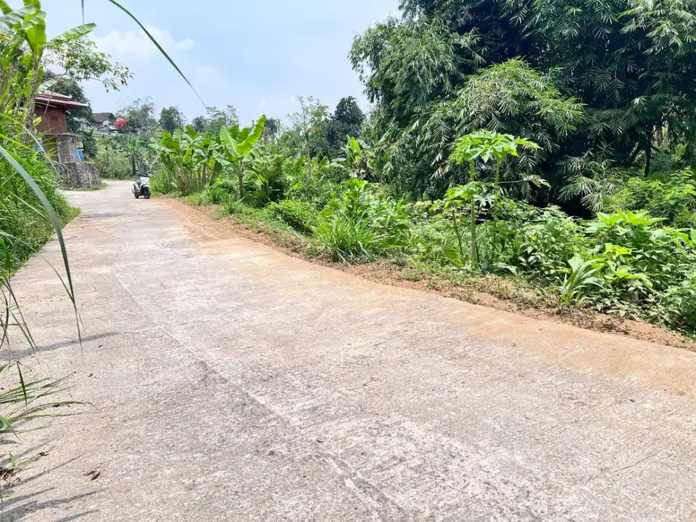 Tanah Kawasan Wisata 165Juta Ngargoyoso Karanganyar