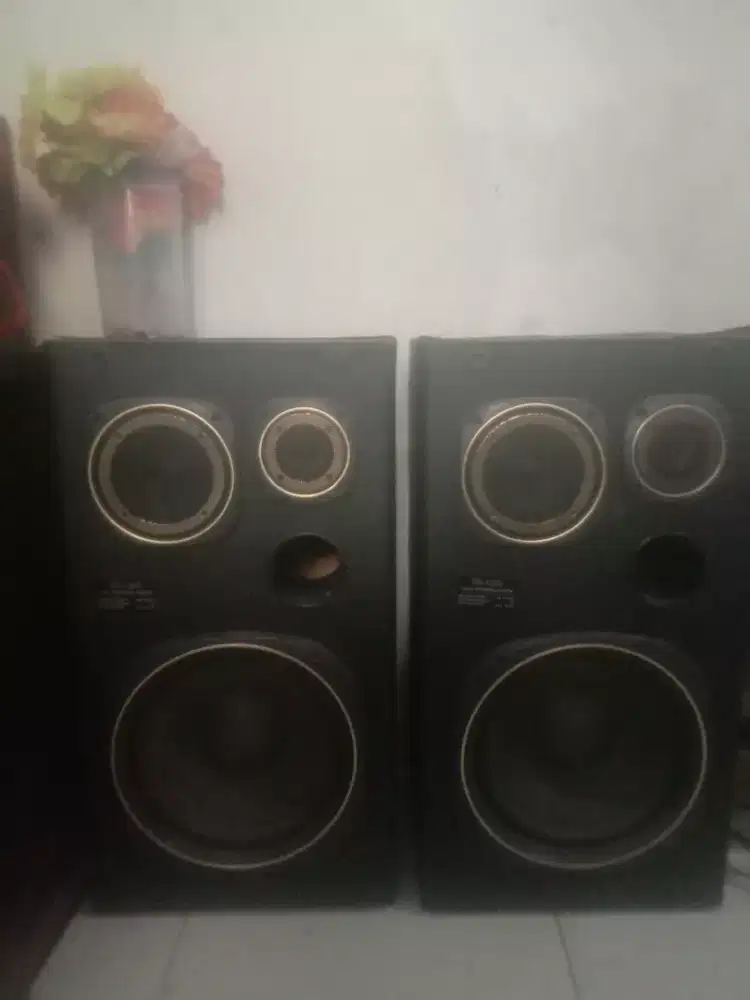 Spiker pasif polytron