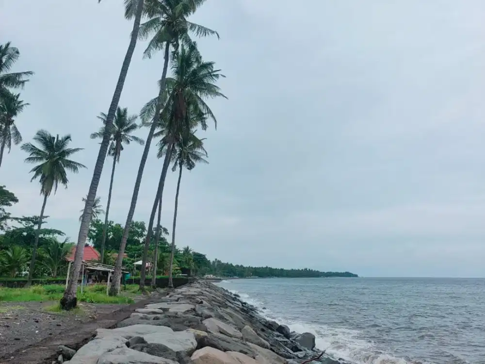 Tanah Beach Front Kubutambahan Buleleng Singaraja
