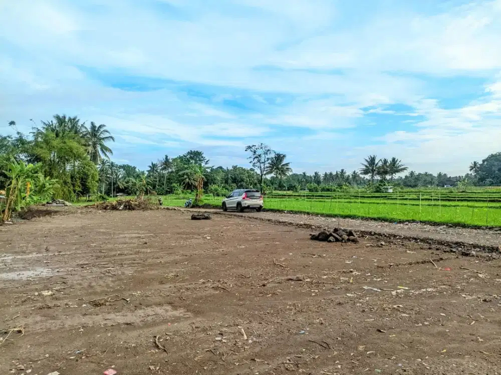 Cocok Untuk Rumah Dan Villa Tanah Pingir Sawah Jogja
