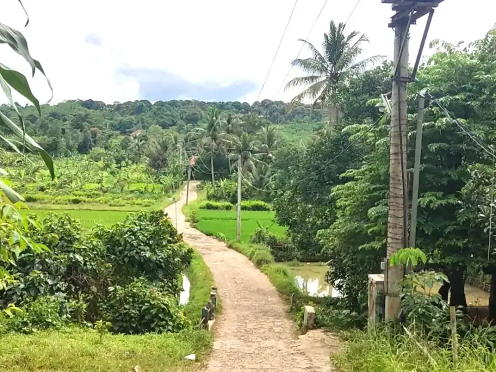 Sangat langka !!Tanah darat dan sawah pemandangan gunung sawah strategis di Rumpin