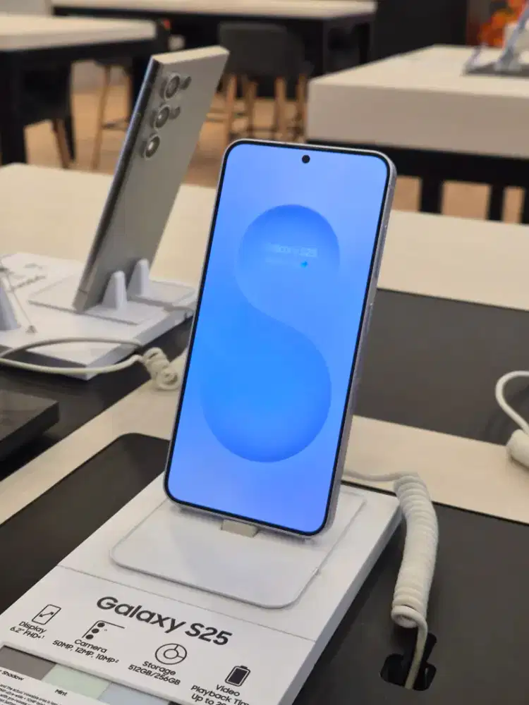 Samsung Galaxy S25