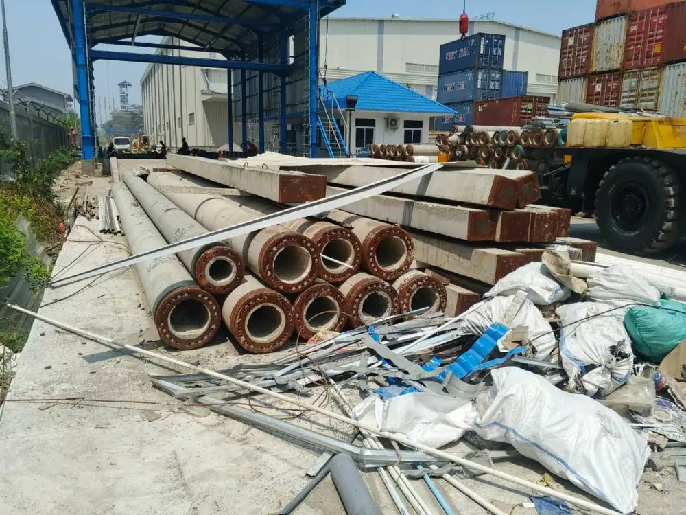 Jual Paku Bumi Berbagai Ukuran via Lelang