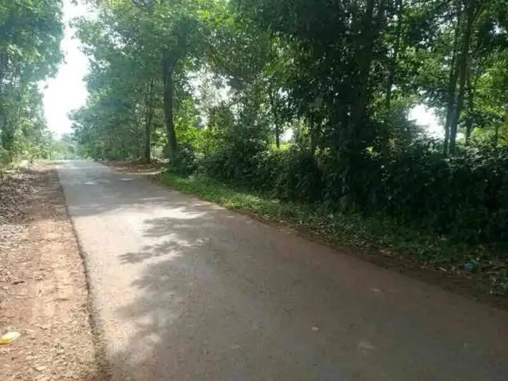 jual tanah dikalijati subang dekat 15menit ke tol kalijati