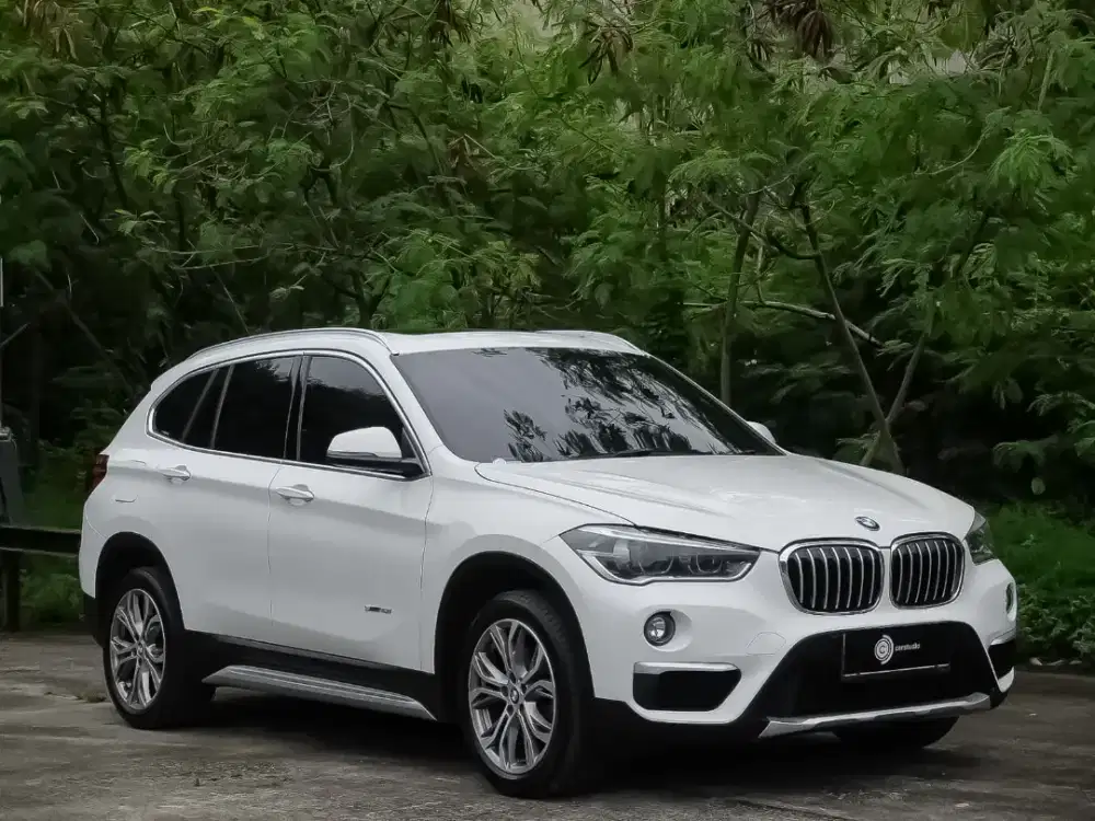 BMW X1 sDrive18i 2017 at