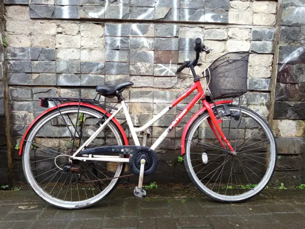 Sepeda Polygon siera