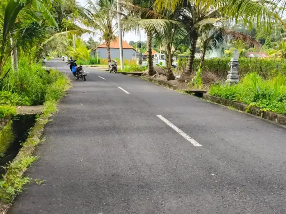 Jual Tanah Suasana Sejuk Dan Tenang Los Sungai Lokasi Di  Jalan Arjuna Sembung Mengwi Badung Bali. Dekat  Dengan Kolam Renang ,Alas Kedaton, Sangeh