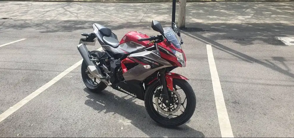 Kawasaki Ninja SL 250 th 2018