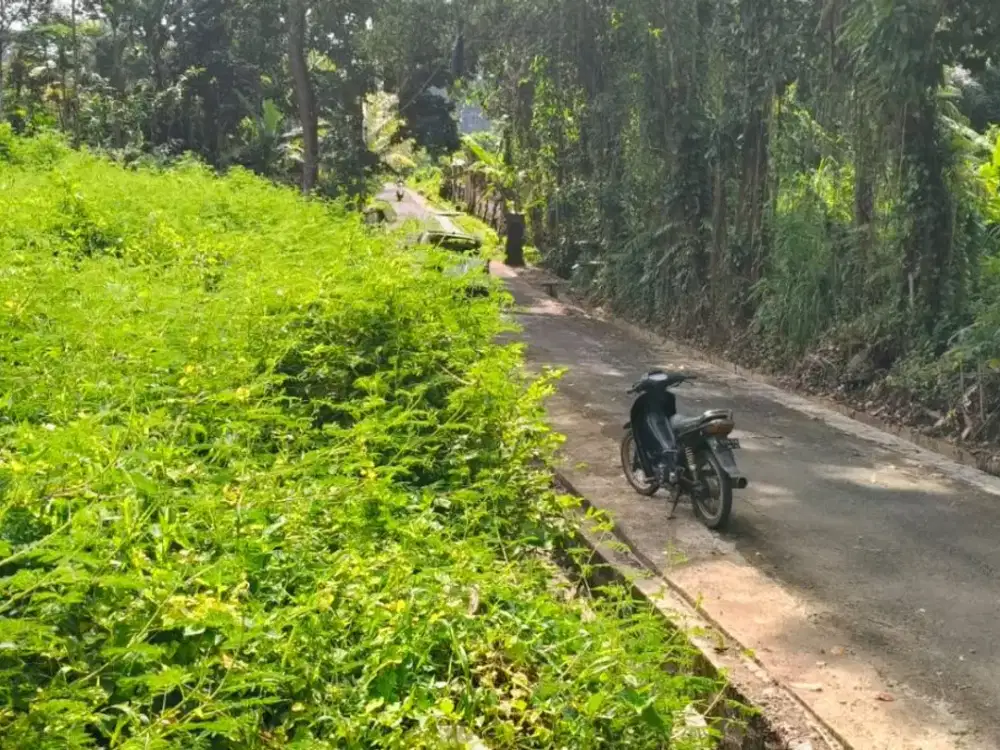 Jual Tanah Sejuk Tenang Dan Los Sungai Lokasi Di Sembung Mengwi Badung Bali. Hanya 80 Meter Dari Jln Induk Provinsi  Hanaya 2 KM Ke Pintu Tol Denpasar