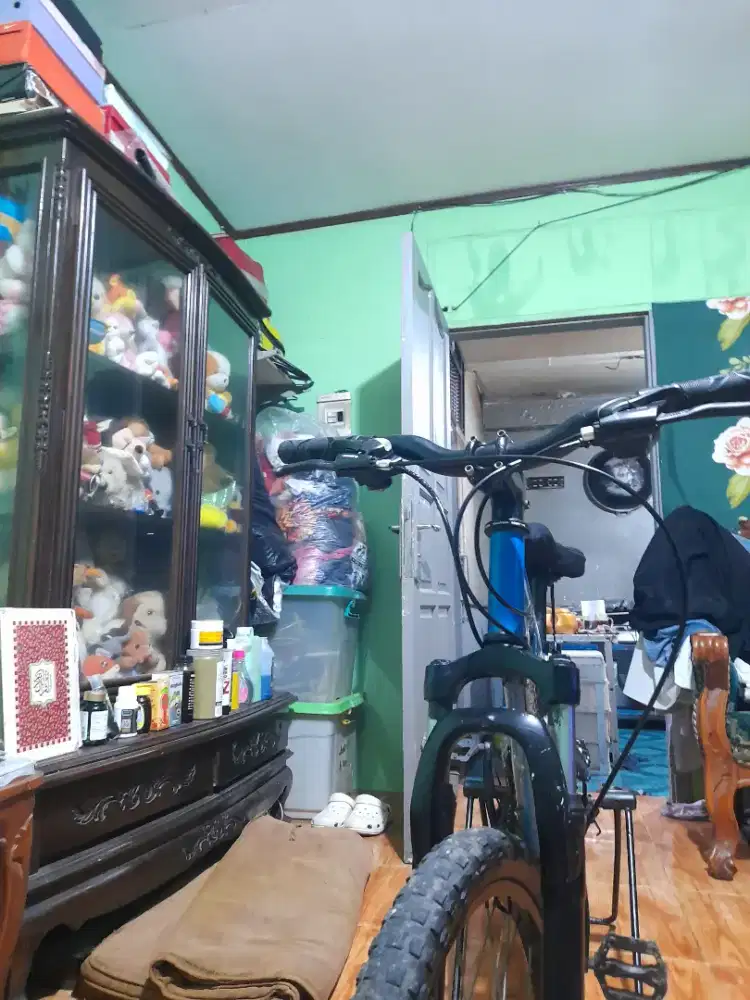 Sepeda anak ring 20 wim cycle