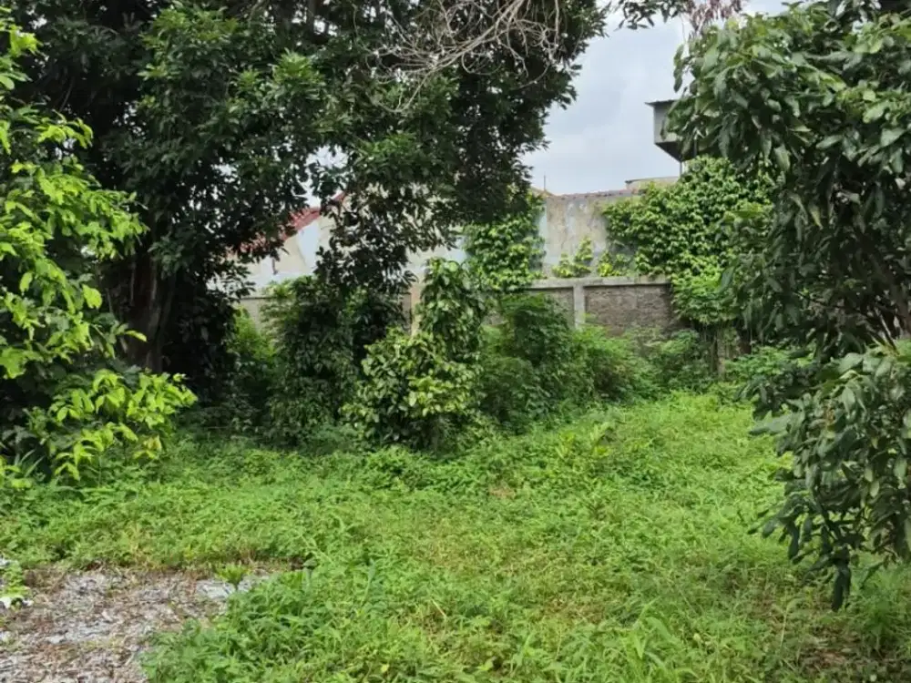 Tanah Padat Bebas Banjir di Bintara Bekasi Barat - Akses Premium