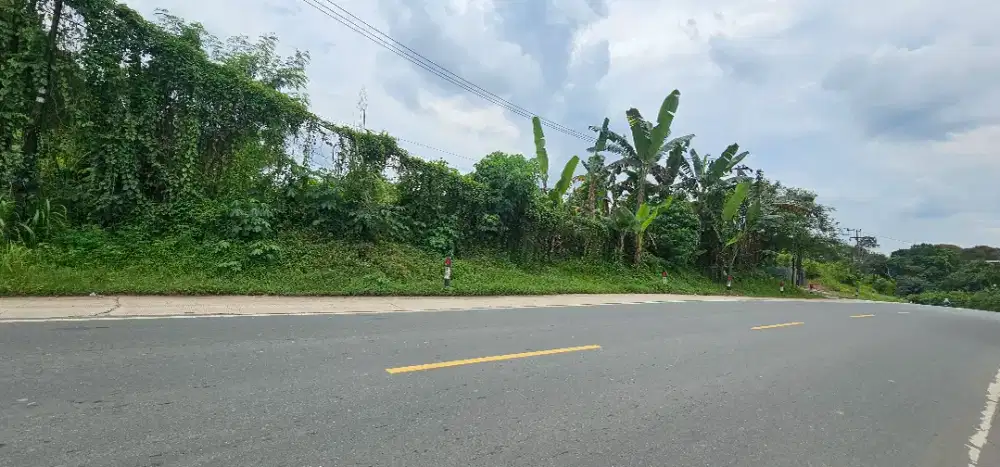 Tanah Luas 2ha di Jual Sangat Murah di bawah Harga pasaran