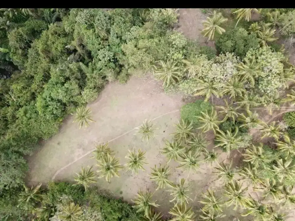 Tanah aspek pemukiman selemadeg Tabanan