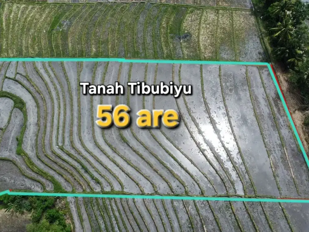 Di jual Tanah Di Tibubiyu Tabanan Bali, dekat ke pantai Pasut.
