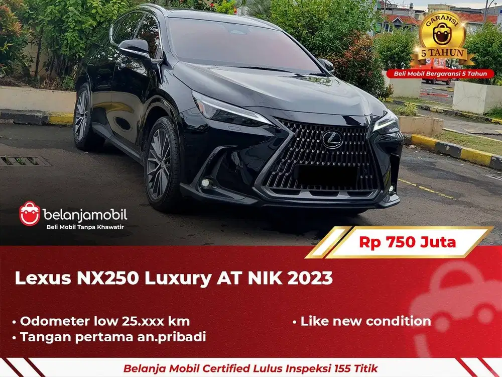 [ LOW KM ] Lexus NX250 NX 250 Luxury AT 2023/2024