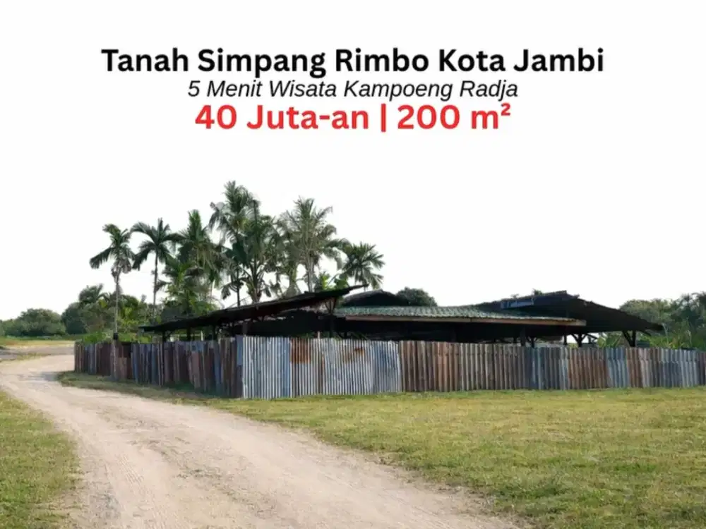 Tanah Murah Simpang Rimbo Kota Jambi