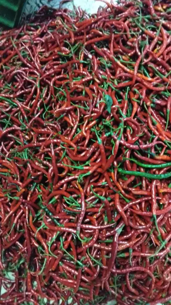 lowongan packing industri rumah tangga