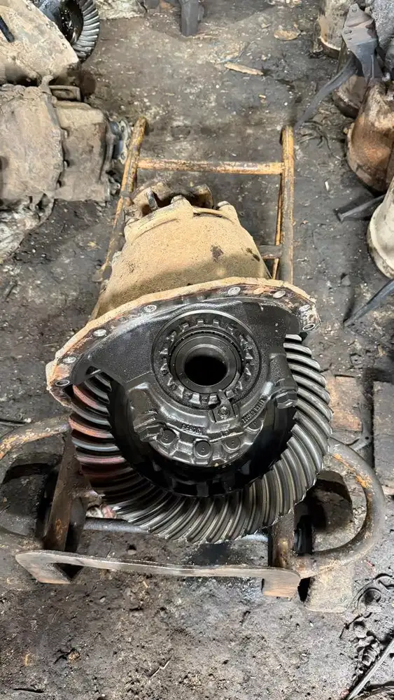 Tongkol gardan lohan 500