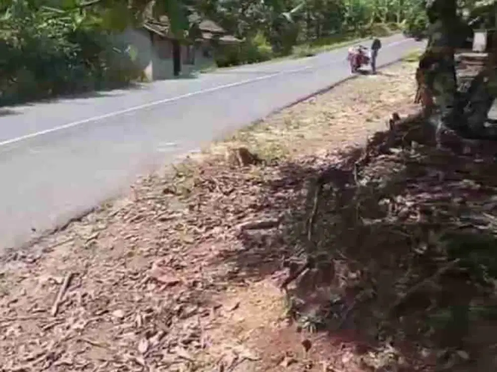 Dijual Tanah murah bangettt depan jalan raya luas 3.685 m2 cocok untuk dibangun Gudang/ Pabrik/ Cluster perumahan dll, nego yuk!! Shm, Ayo Survei yuk!!!