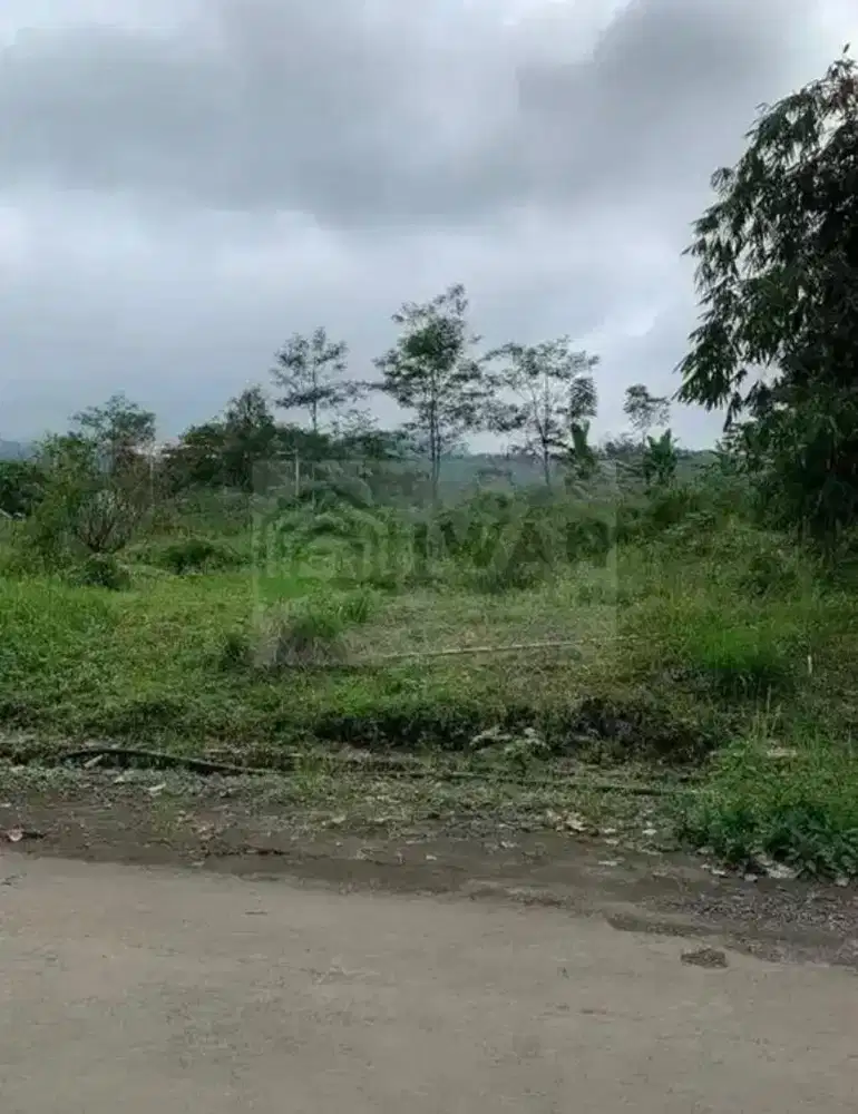Tanah Iklim Sejuk Dengan View Gunung Hadap Jalan Poros Desa