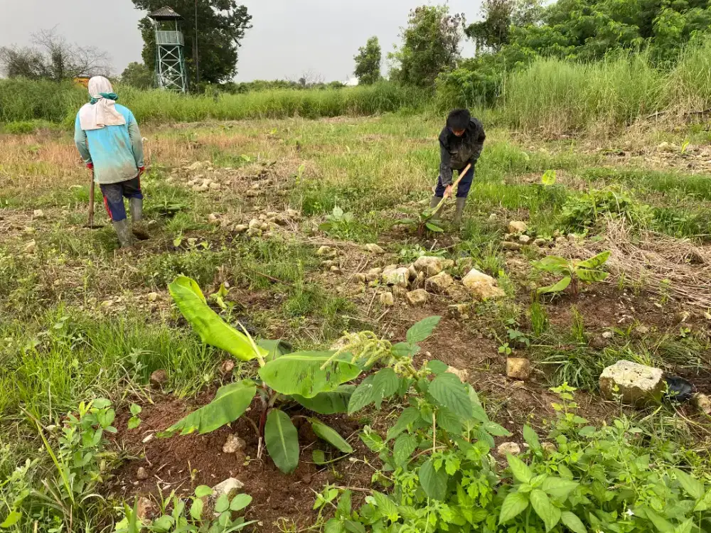 perkerja tani dan rawat